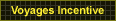 Incentive Travel